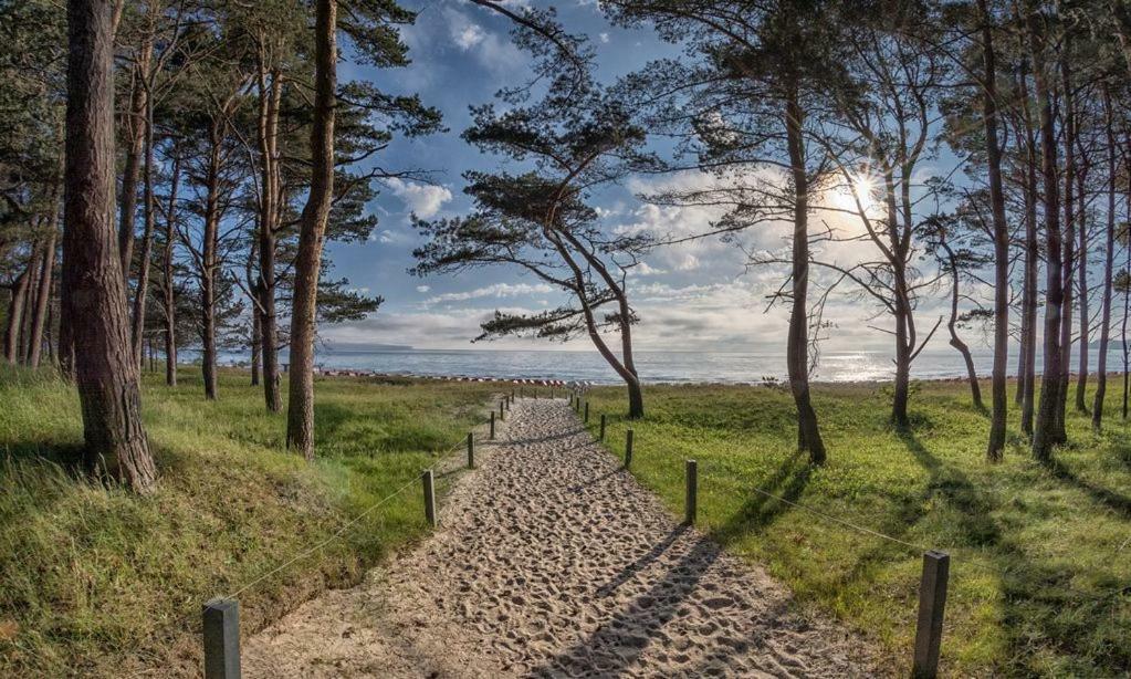 בינץ Direkt Am Strand Mit Meerblick Und Sauna - Fewo Strandidyll מראה חיצוני תמונה